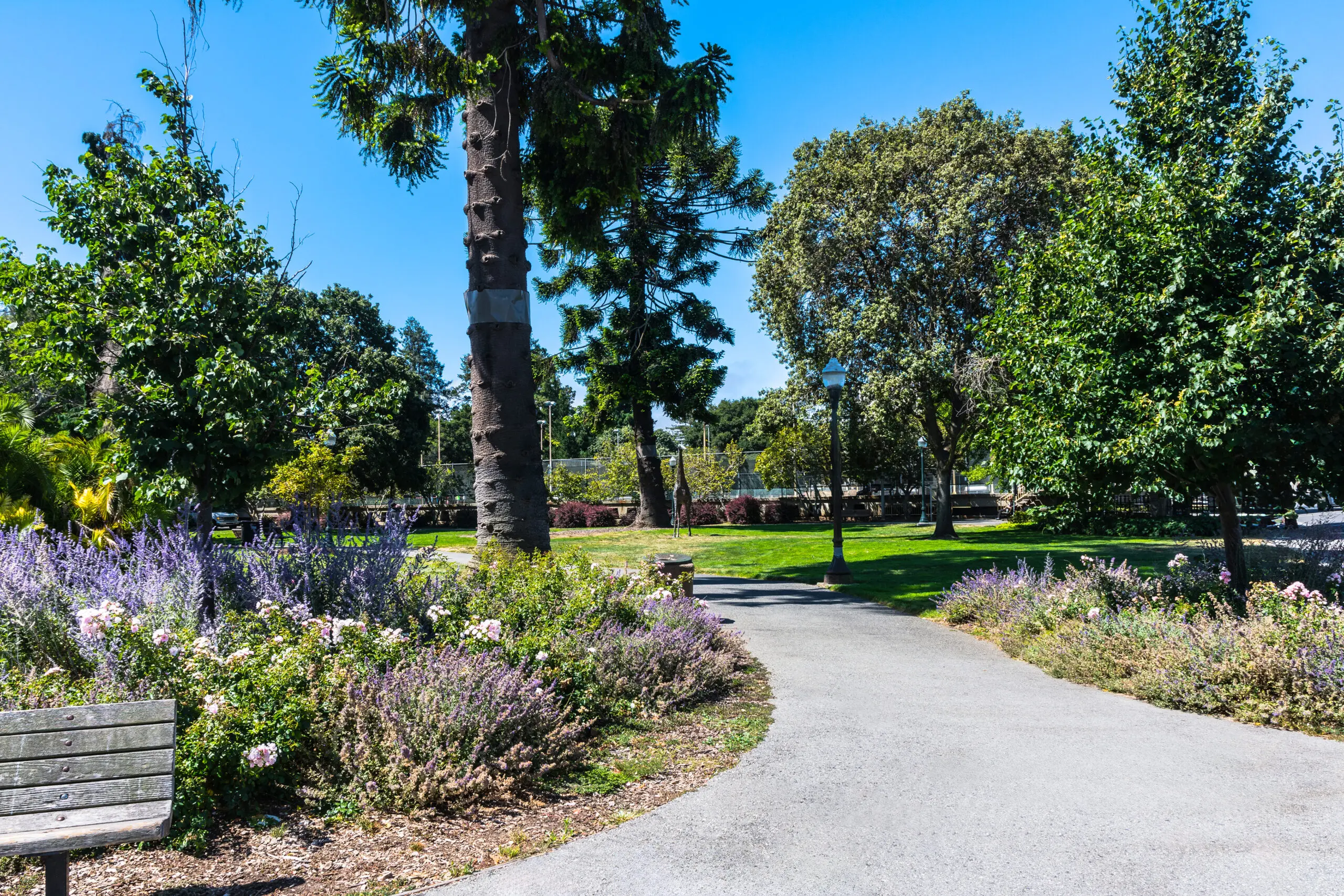 Japanese Gardens, San Mateo, California